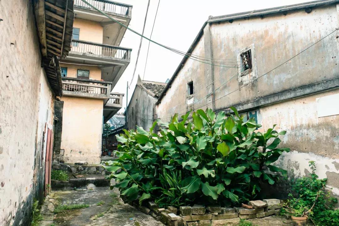 观澜算深圳偏僻的地方吗,观澜有没有价值