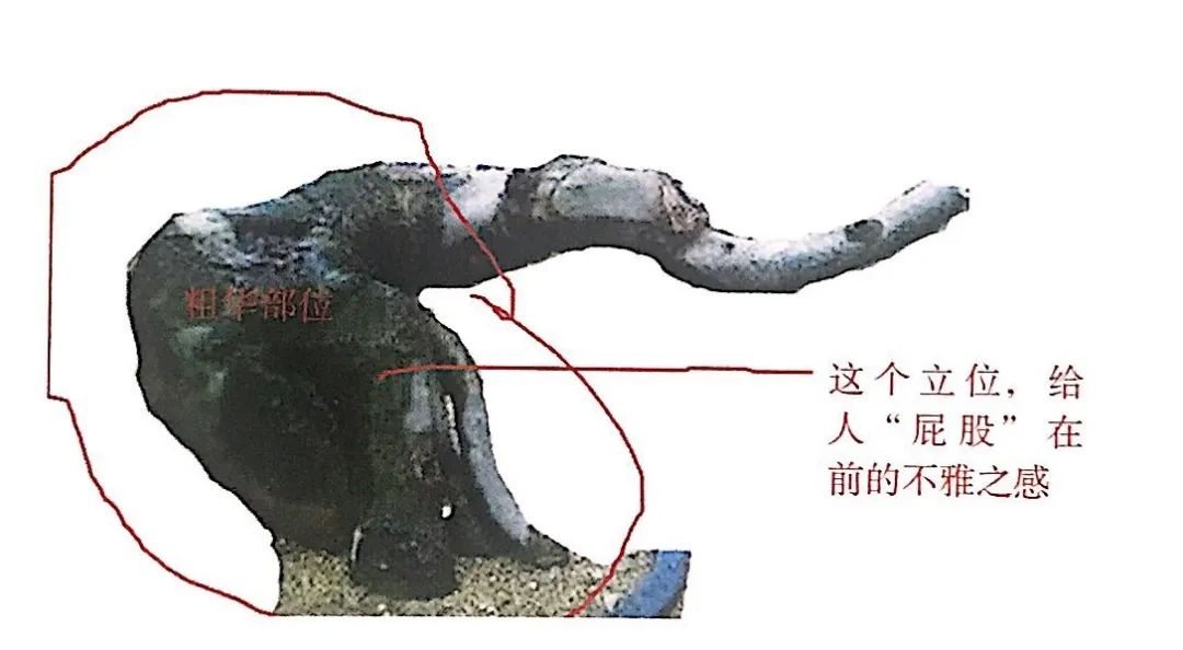 新手榆树盆景造型设计,榆树盆景造型设计教程