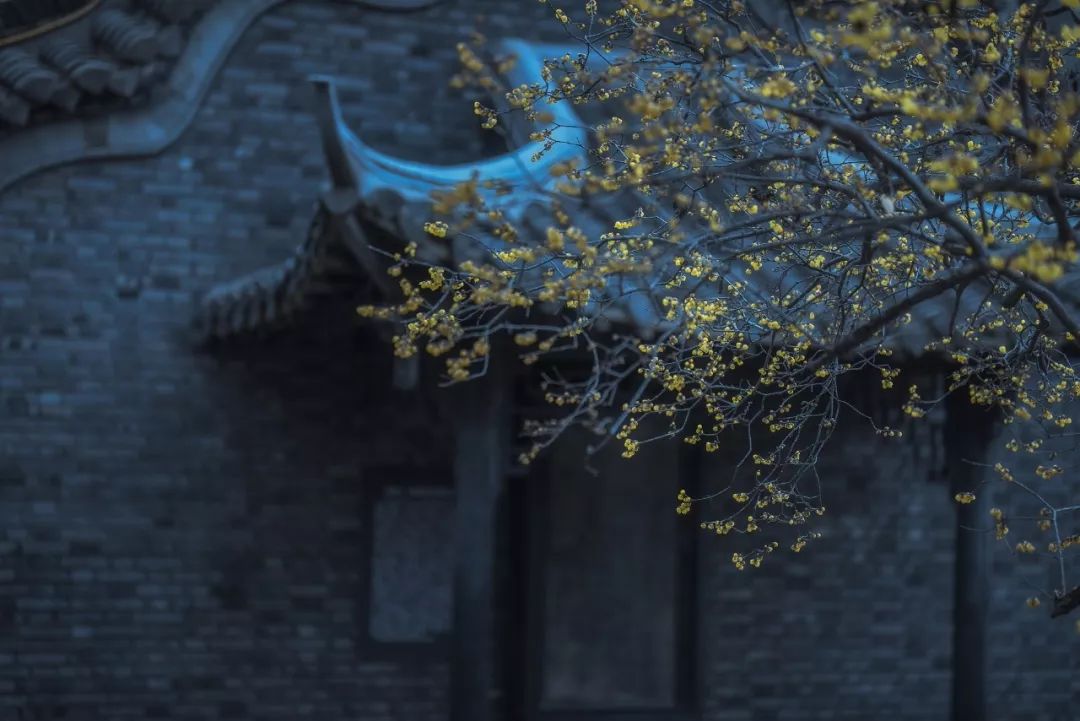 你的姓氏，早已被古人写进了诗里