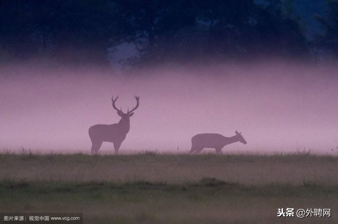 打工度假一年能赚多少钱,打工度假要多少钱