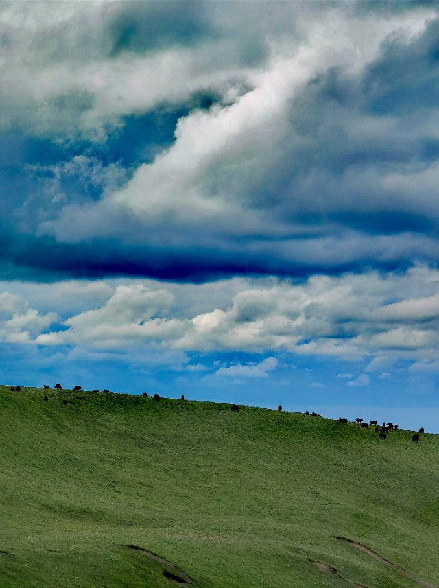 一条绝美草原之路,一条绝美的自驾公路