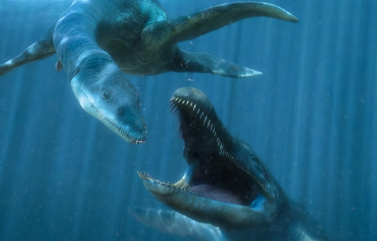 深海里真的有人类吗,深海里都有什么生物