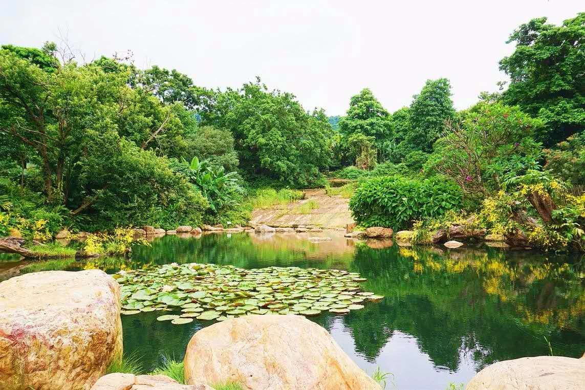 放假的时候逛了青秀山,去青秀山游玩收获了哪些