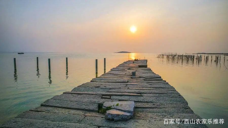 苏州西山网红打卡地樱花,苏州西山风景区有什么好玩的地方