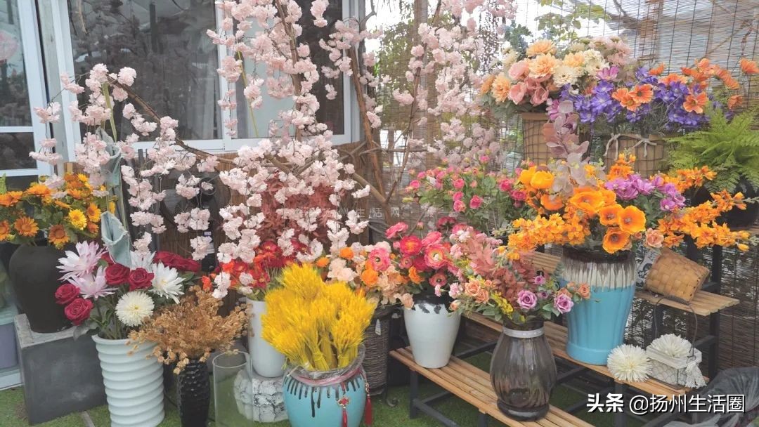 2元花盆批发,2元左右的花盆