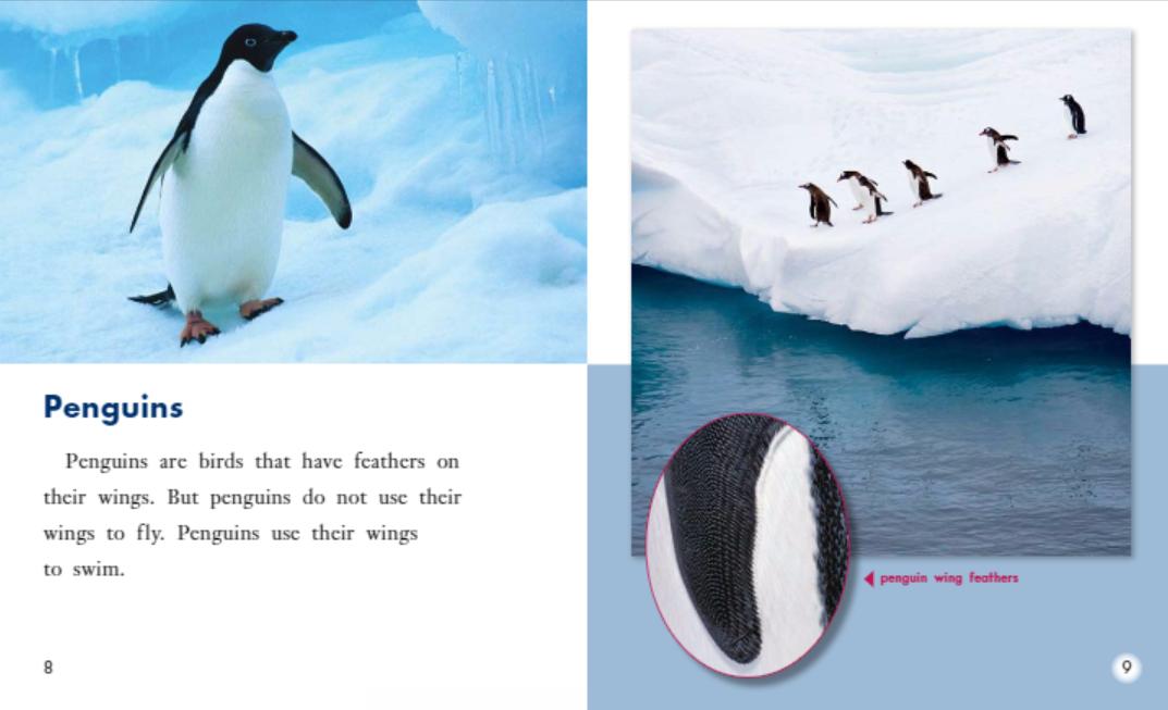 儿童绘本海尼曼,海尼曼幼儿绘本阅读