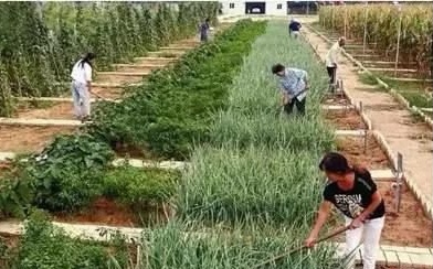 轻松月入上万的4个创业商机,2020年互联网冷门行业