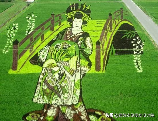 中国和日本农业到底有什么样的差距，不得不承认！