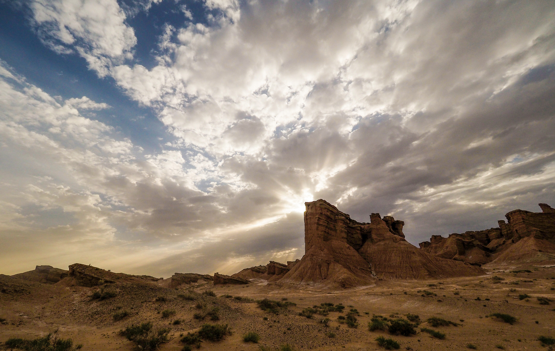 乡村振兴战略的总要求是产业振兴,聚焦二十大乡村振兴战略部署