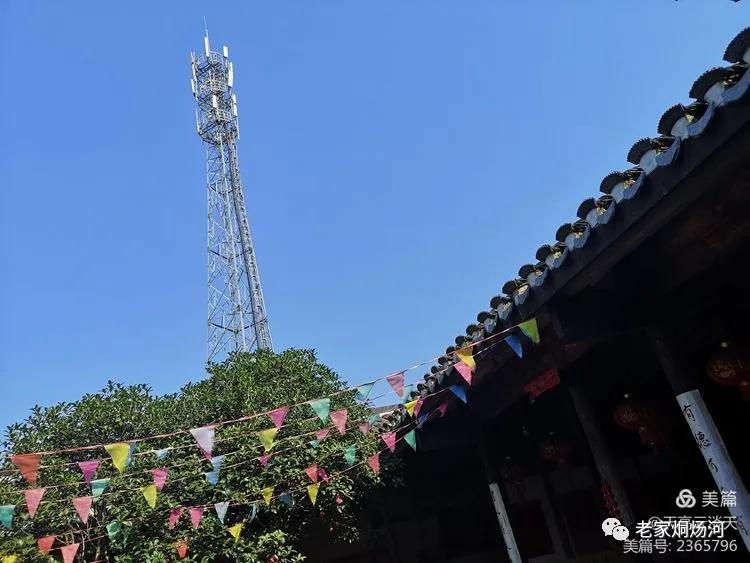 巢湖风：平凡人不平凡的事——记烔炀河塘稍村人许寿东