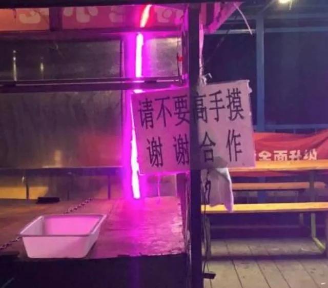 全世界都在说东北话小说,全世界都在说东北话完整版