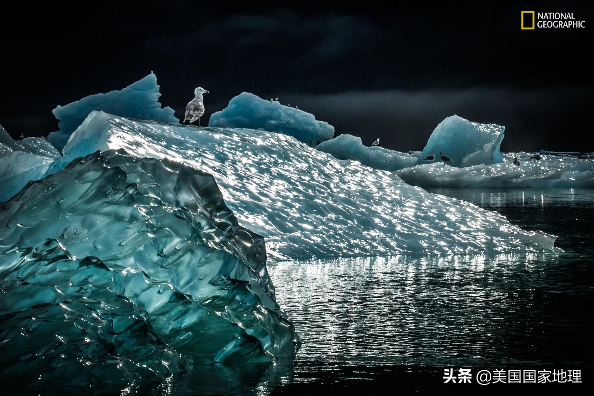 阿拉斯加行者遗珠,阿拉斯加隐秘遗珠
