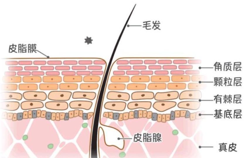男士秋冬控油保湿推荐,男士保湿控油产品简单好用