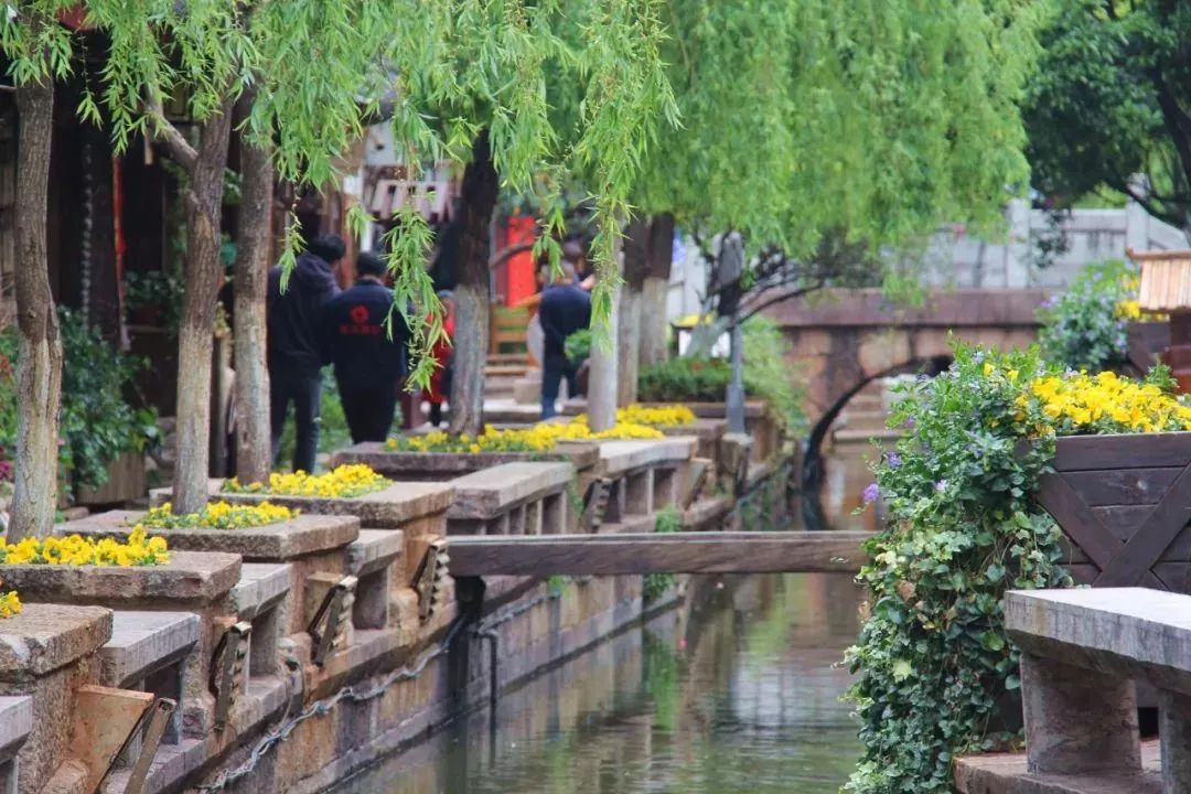 丽江时光,丽江午后慢时光