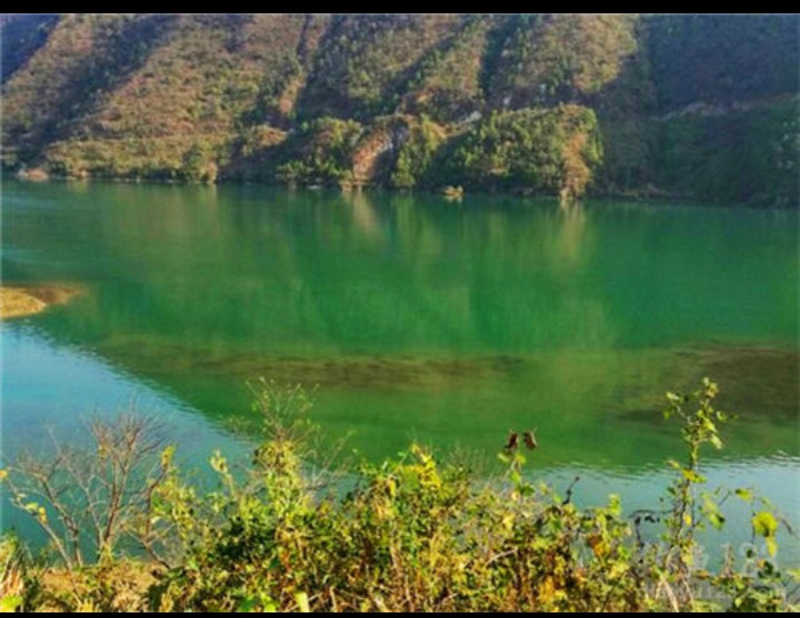 野钓鱼资源匮乏怎么办好,野钓资源匮乏是怎么造成的