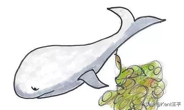 海里的粑粑,海里有粪便吗