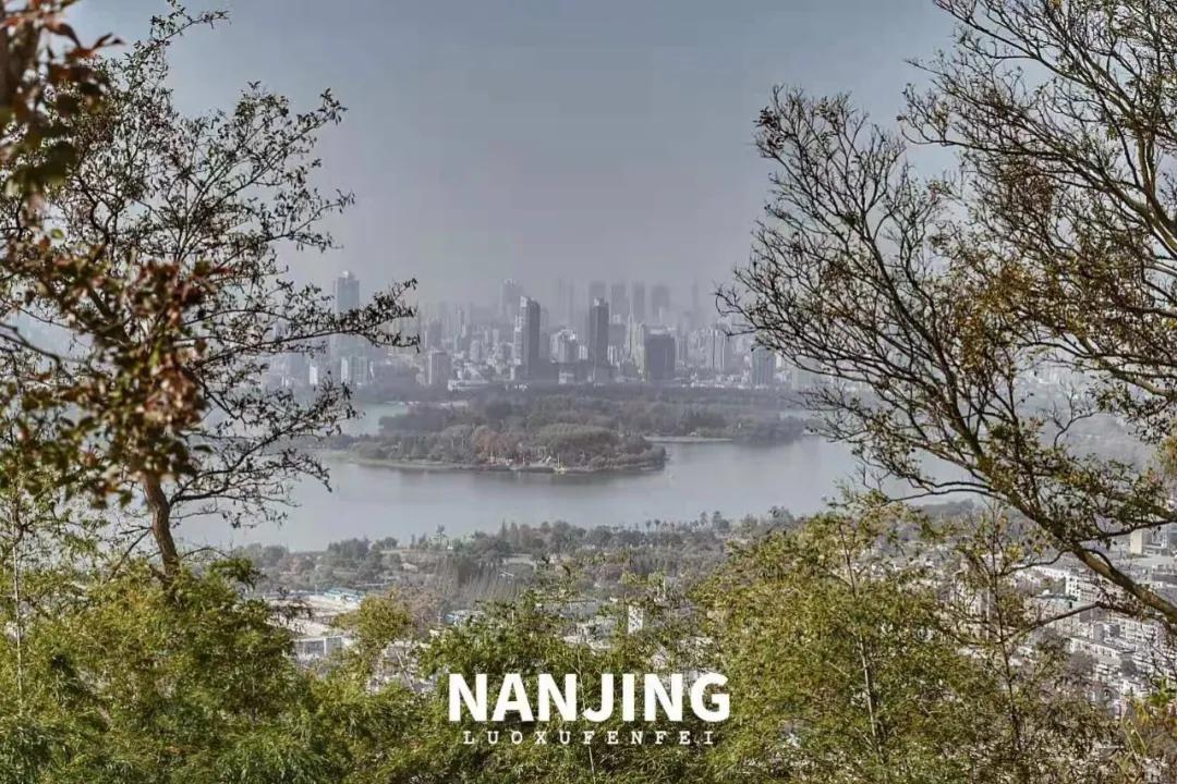 玩完南京去哪里玩景点推荐,南京钟山风景区秋天一日游攻略