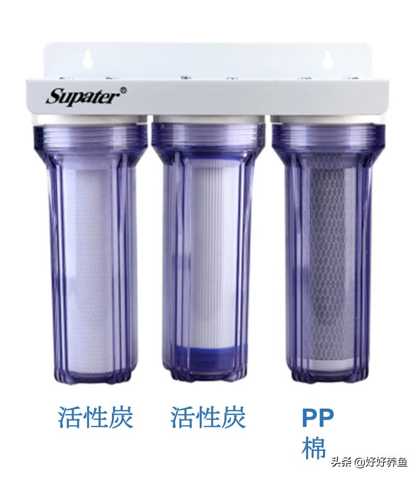 鱼缸换水注意事项养鱼老道,鱼缸养鱼换水的重要性