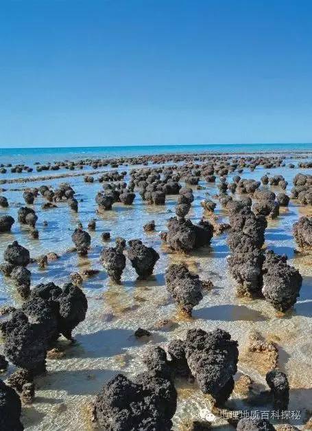 鬼斧神工地质遗珍视频,鬼斧神工的地质