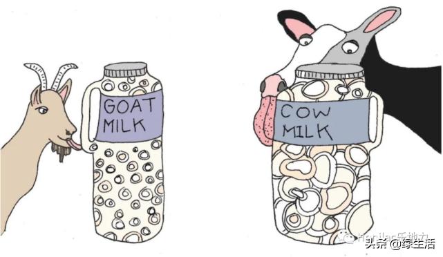 初生婴儿喝羊奶粉好还是牛奶粉好,婴幼儿奶粉羊奶粉好还是牛奶粉好