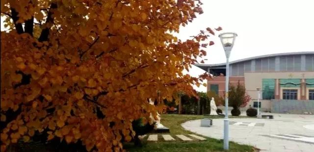 吉林省高校(二十一)长春中医药大学