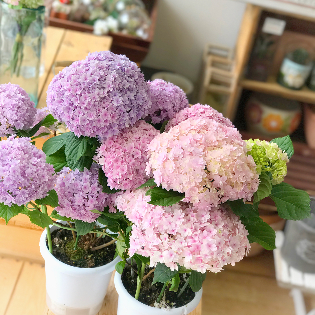 ins露台设计,法式复古风露台设计