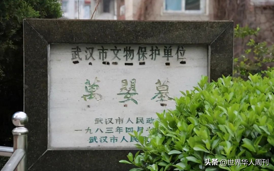 中国1995年弃婴事件真实案例,弃婴抚养28年真相