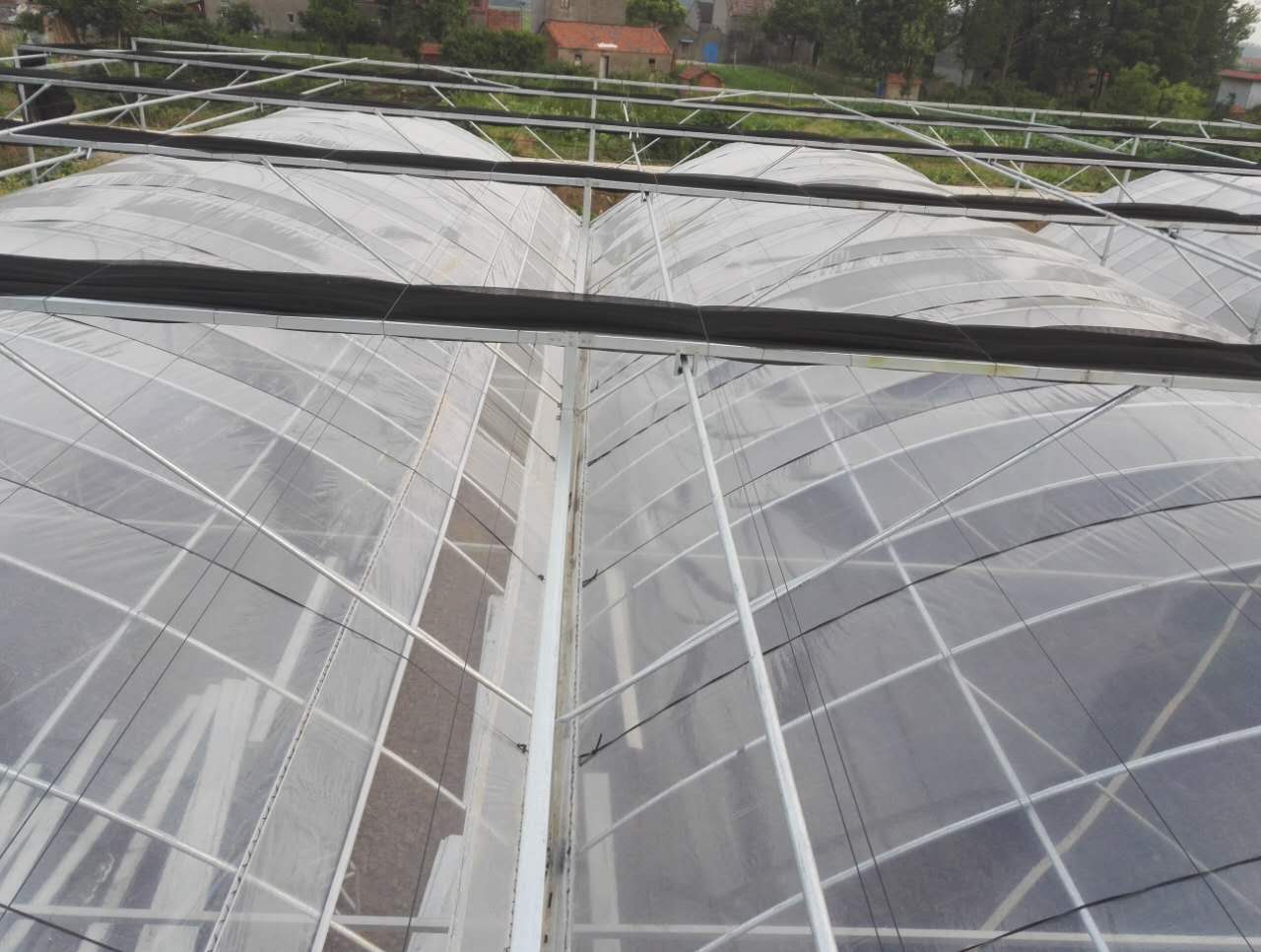 单栋温室大棚建设造价多少钱,连栋温室大棚造价多少钱一平