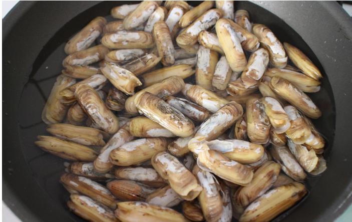 蛏子小孩子食谱,蛏子要怎么做才适合小孩吃