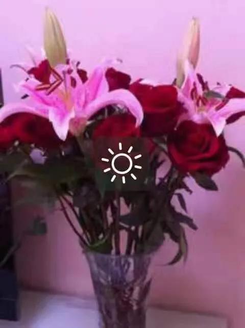 50岁回头看,五十岁回头望一望