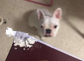 海外华人一定要注意安全,华人在海外要注意的三件事