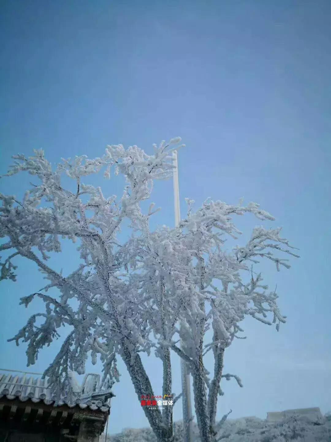 此刻泰山成了雪国，美到无言！高清美图来袭，“雪国的列车”即刻发车！