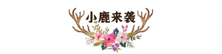 东南花都花博园景观,东南花都花博园