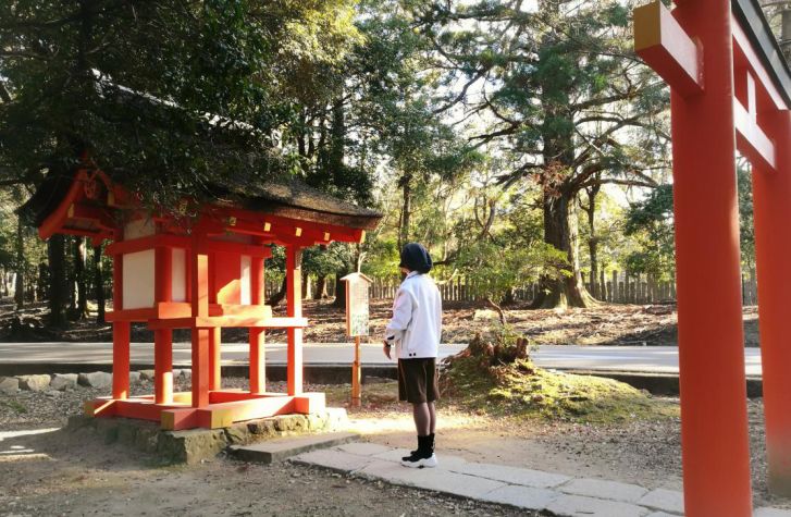 王思聪和李易峰关系有多好,王思聪和李易峰的区别