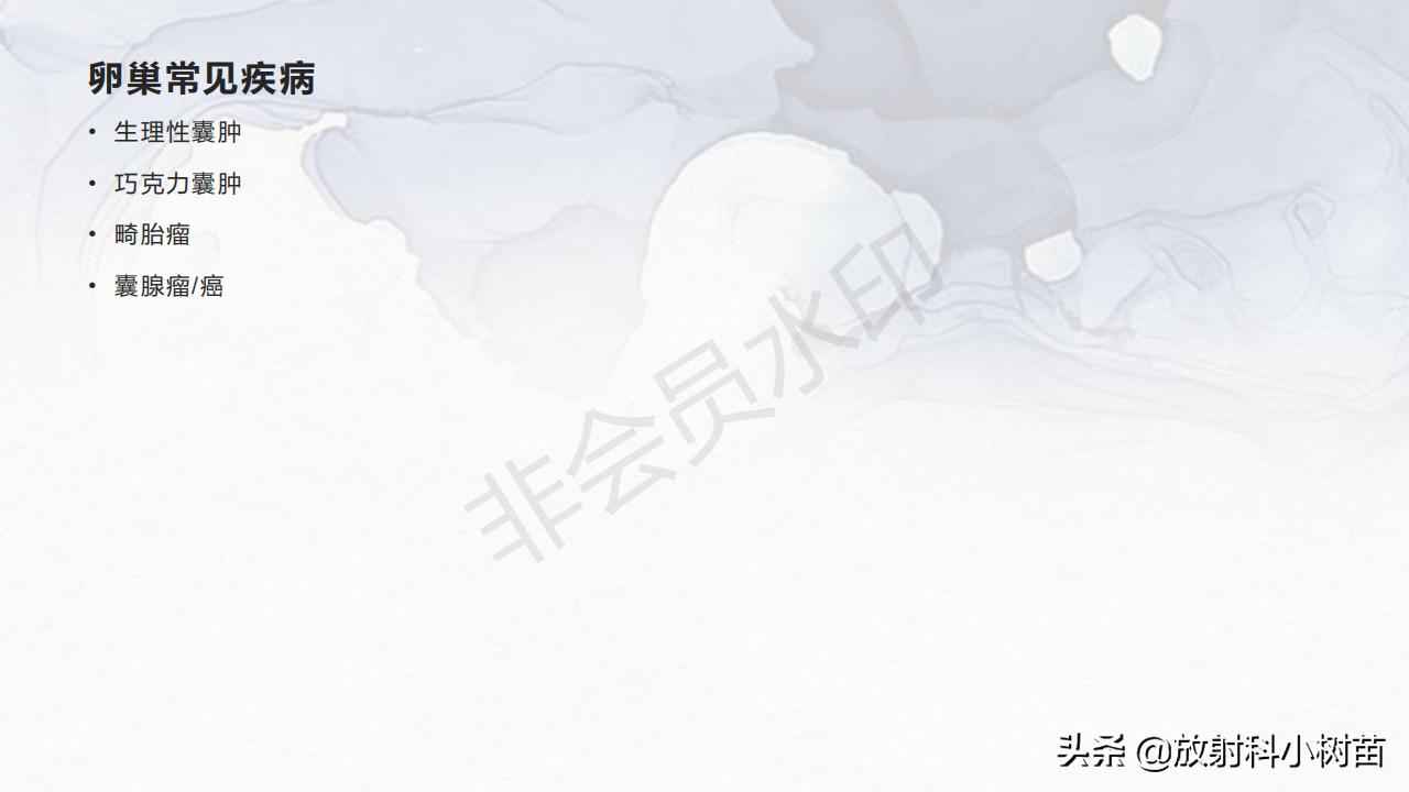 女性盆腔mri解剖图谱,泌尿生殖系统x线解剖