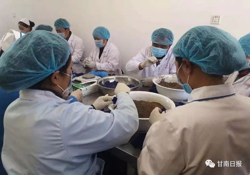 甘肃夏河藏医,夏河藏医