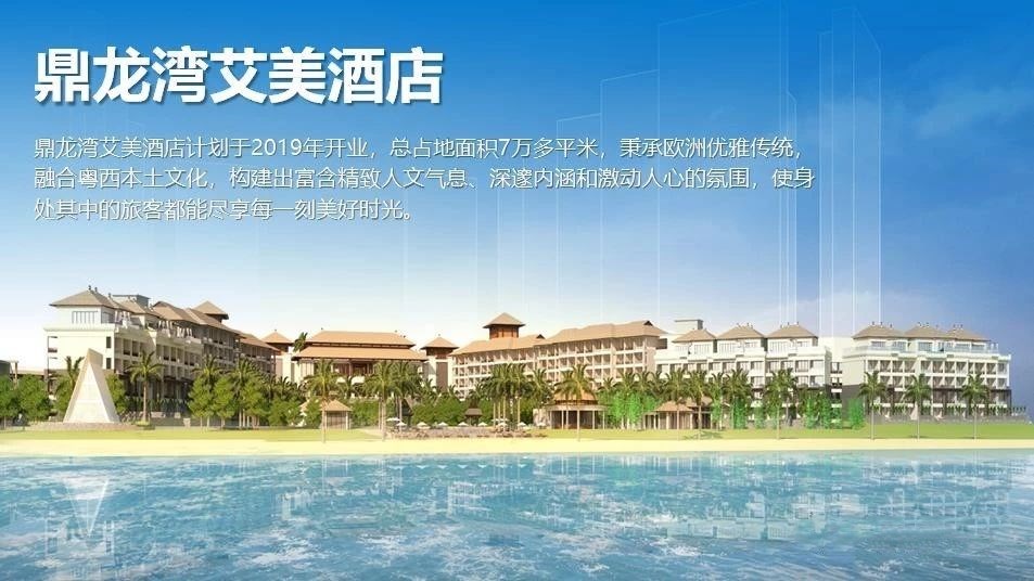 湛江鼎龙湾项目,湛江鼎龙湾项目怎么样