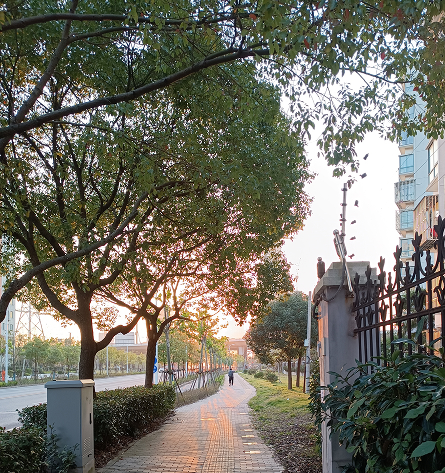 红米note11pro充电实评,红米note11Tpro评测真实