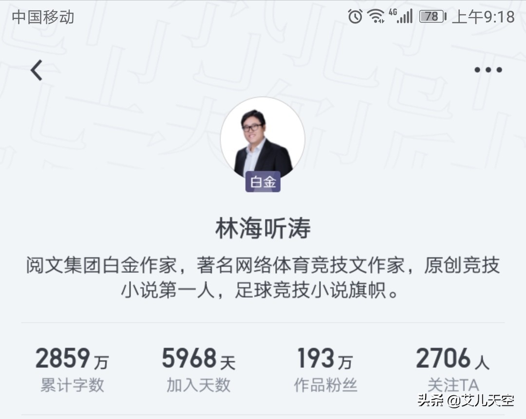 林海听涛冠军之光,林海听涛的小说评价