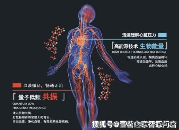 促进宫腔微循环排毒,微循环排毒