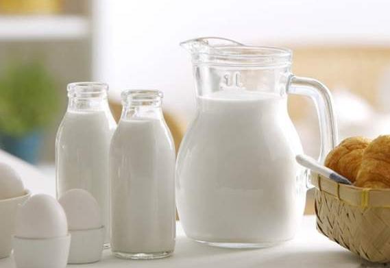 狗狗要喝什么水,狗狗每天喝几次水最好