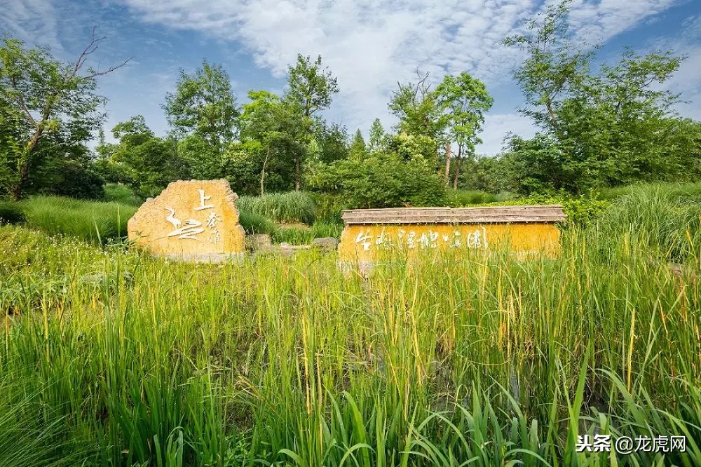 南京紫郡府叠墅,南京紫郡府最好的叠墅