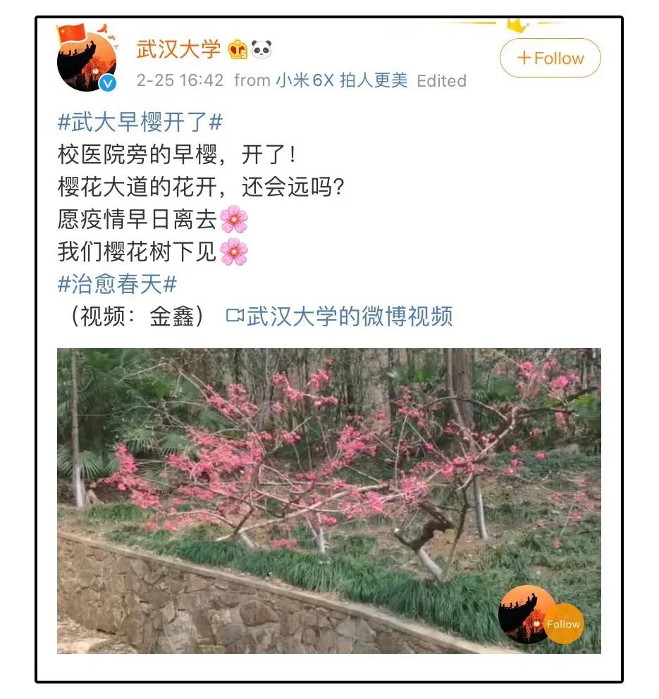 “我还没见过有那个城市的春天，能比武汉还美！”