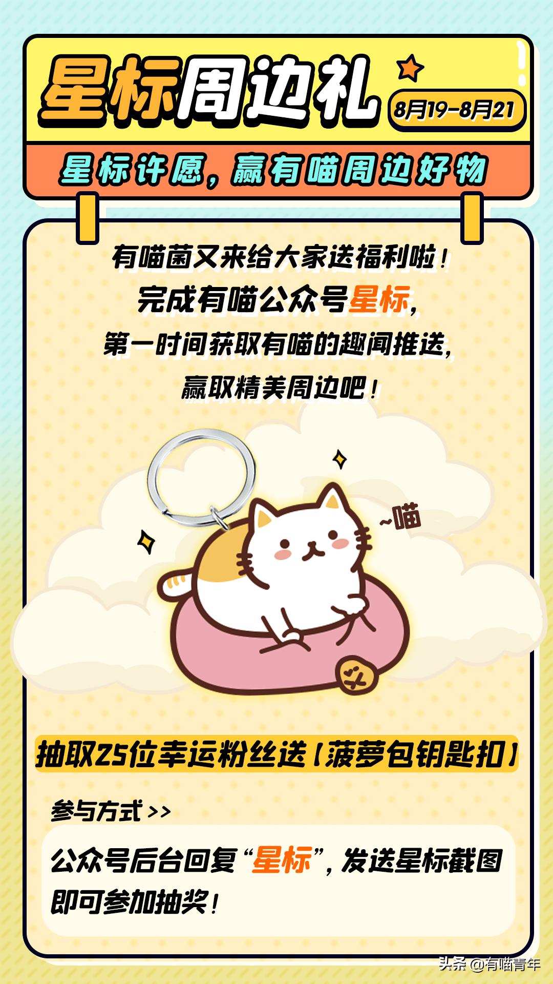 长沙阳光安置小区流浪猫,长沙有流浪猫的小区