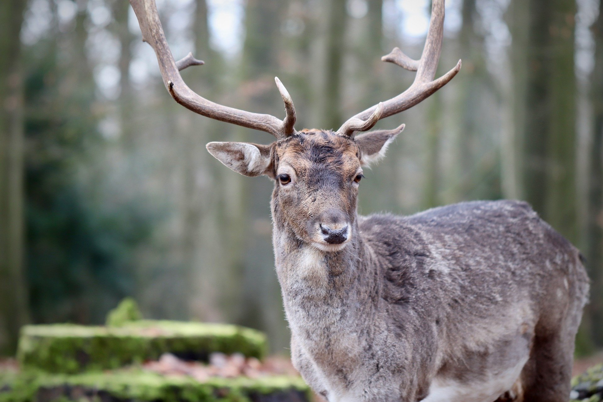高中生物必修一全套视频教程,高中生物必修一知识点填空答案