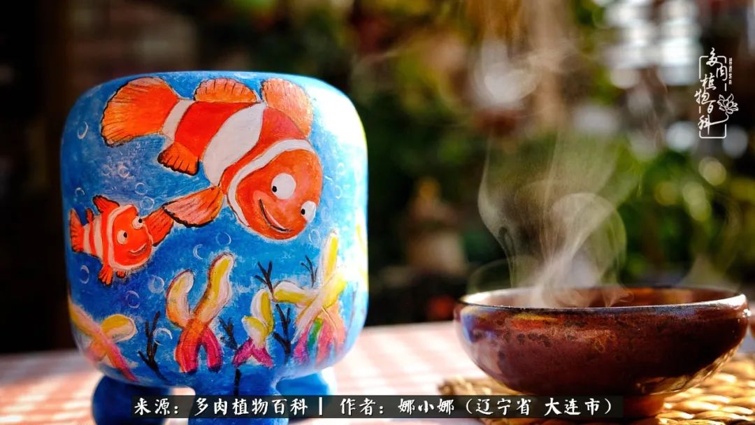 你是盆我是花，你护我周全，我为你绽放