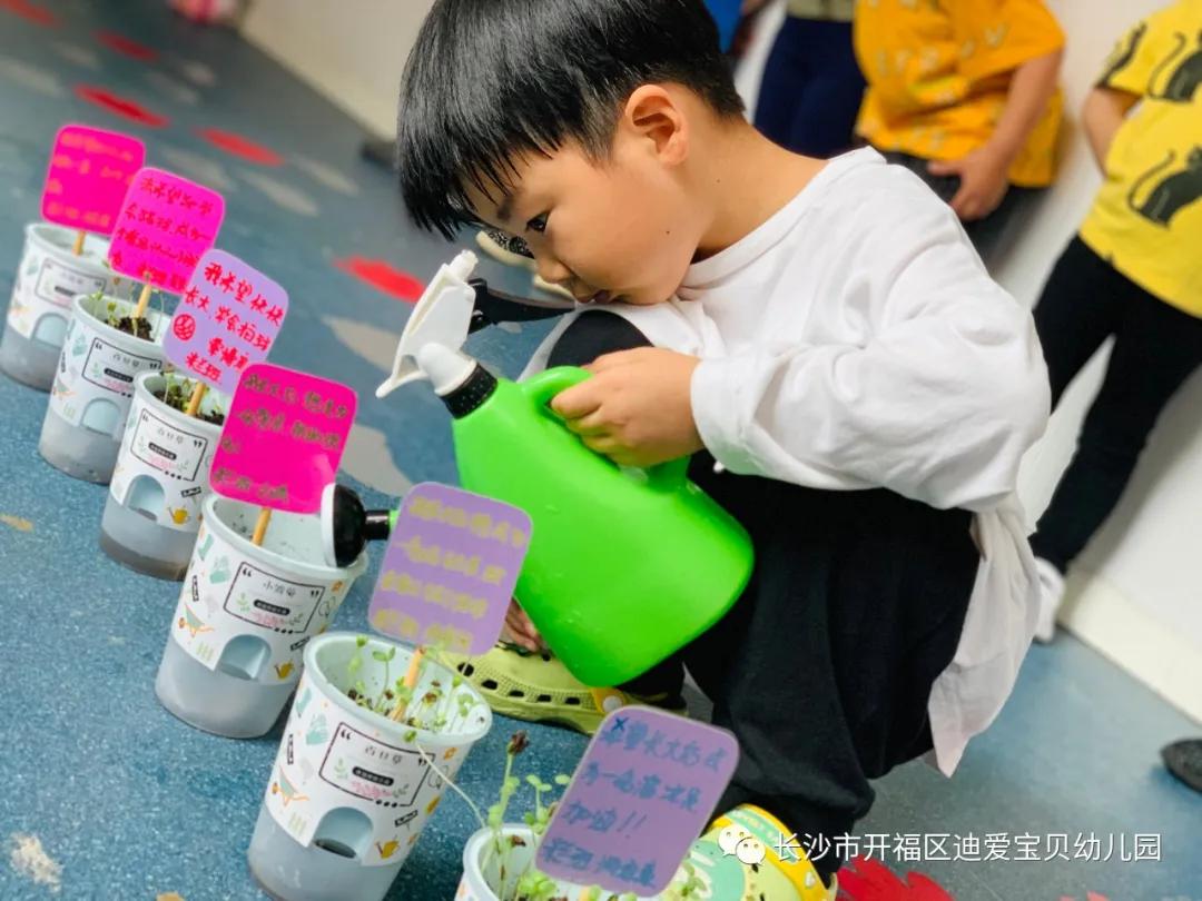 诺亚舟幼儿园,诺亚舟幼儿园里欢乐多