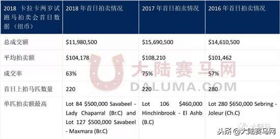 “感受到主人的感觉！”莱德马业中国马主团畅谈新西兰拍卖会