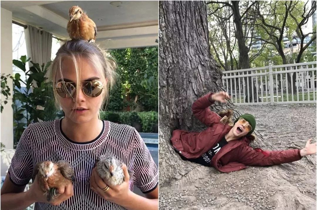 又帅又可爱女孩,又可爱又帅气的女孩