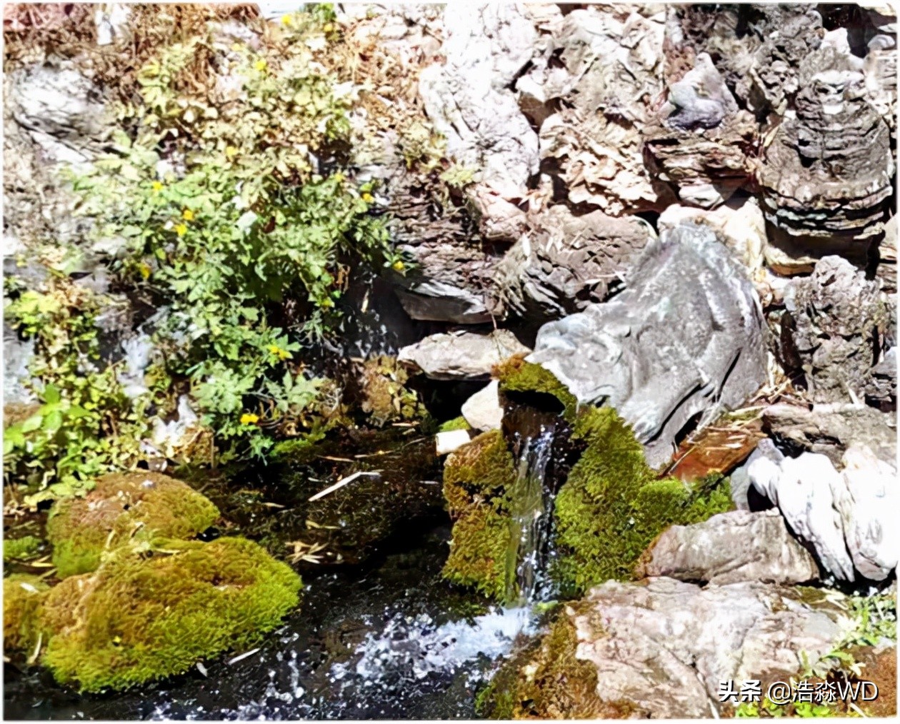 田仙峪长城,田仙峪民宿